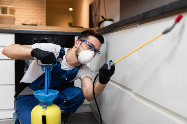 Best Pest Removal Services  in Campti, LA