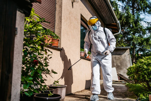 Best Rodent Control Near Me  in Campti, LA