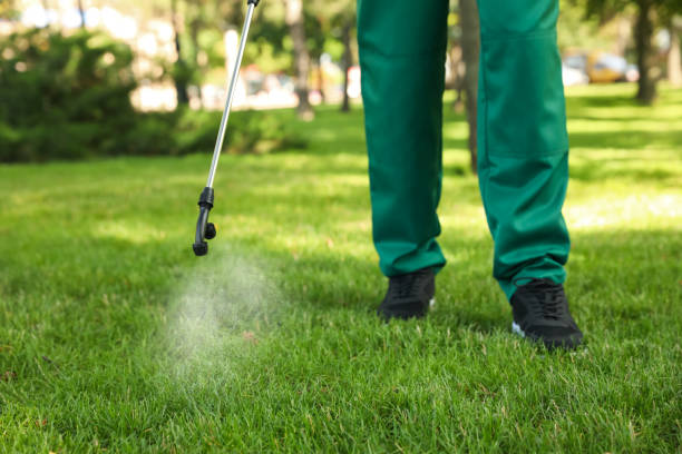 Best Mosquito Control Services  in Campti, LA