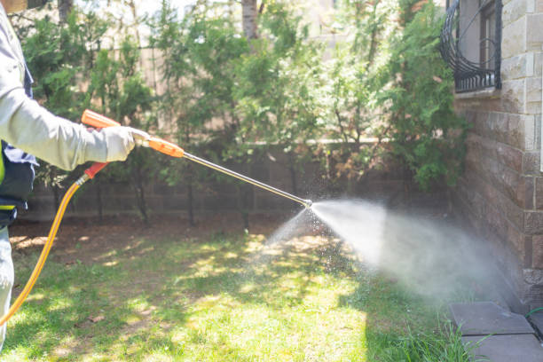 Best Bed Bug Extermination  in Campti, LA