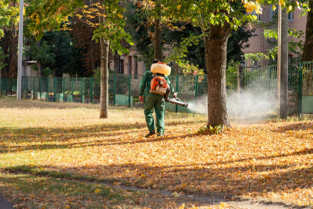 Best Emergency Pest Control  in Campti, LA