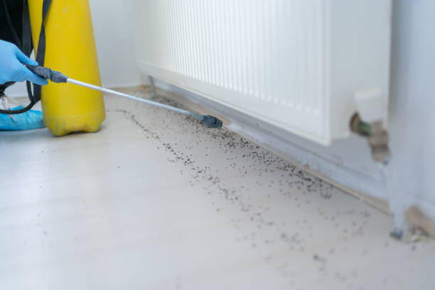 Best Affordable Pest Control Services  in Campti, LA