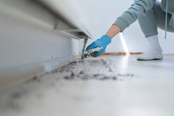 Best Affordable Pest Control Services  in Campti, LA